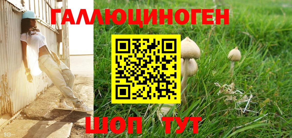 Хэш  МДМА  Канабис  A PVP  COCAIN  Кострома  Вход с VPN  ГАШ  Меф 