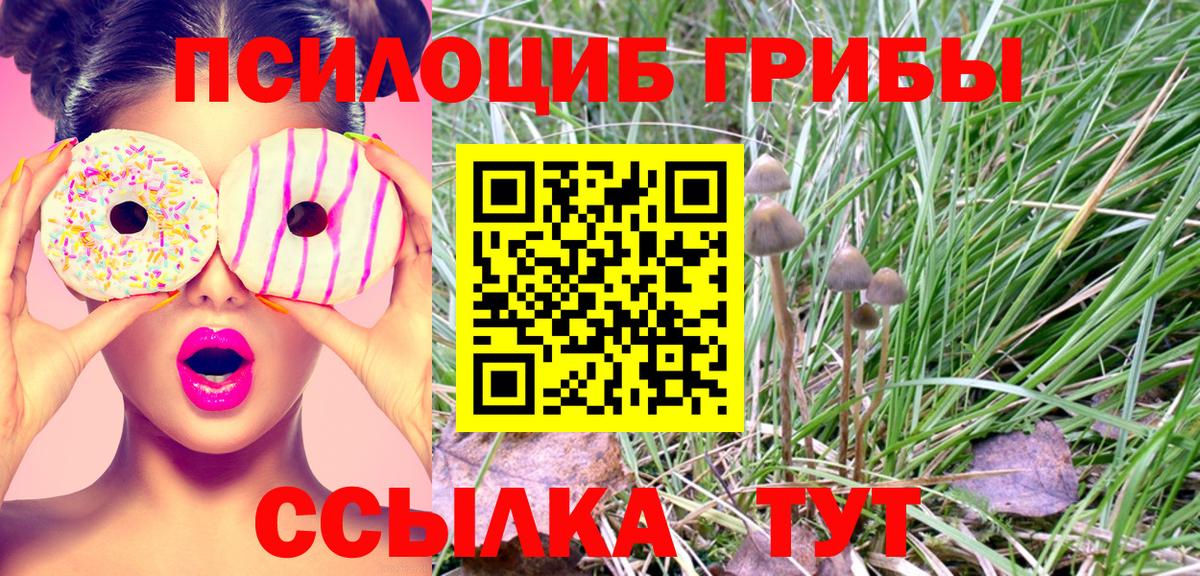 наркота  Псилоцибиновые грибы MAGIC MUSHROOMS  Кострома  Вход с VPN  Псилоцибиновые грибы мицелий 